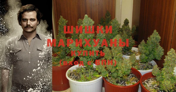 прущие крисы Аркадак